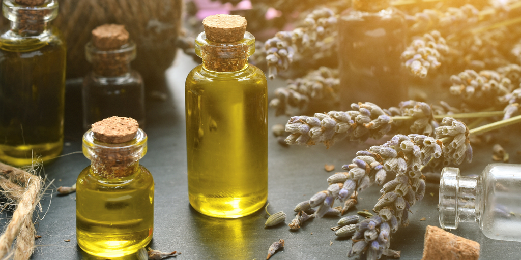 The Best Plant Oils You Need In Your Skincare