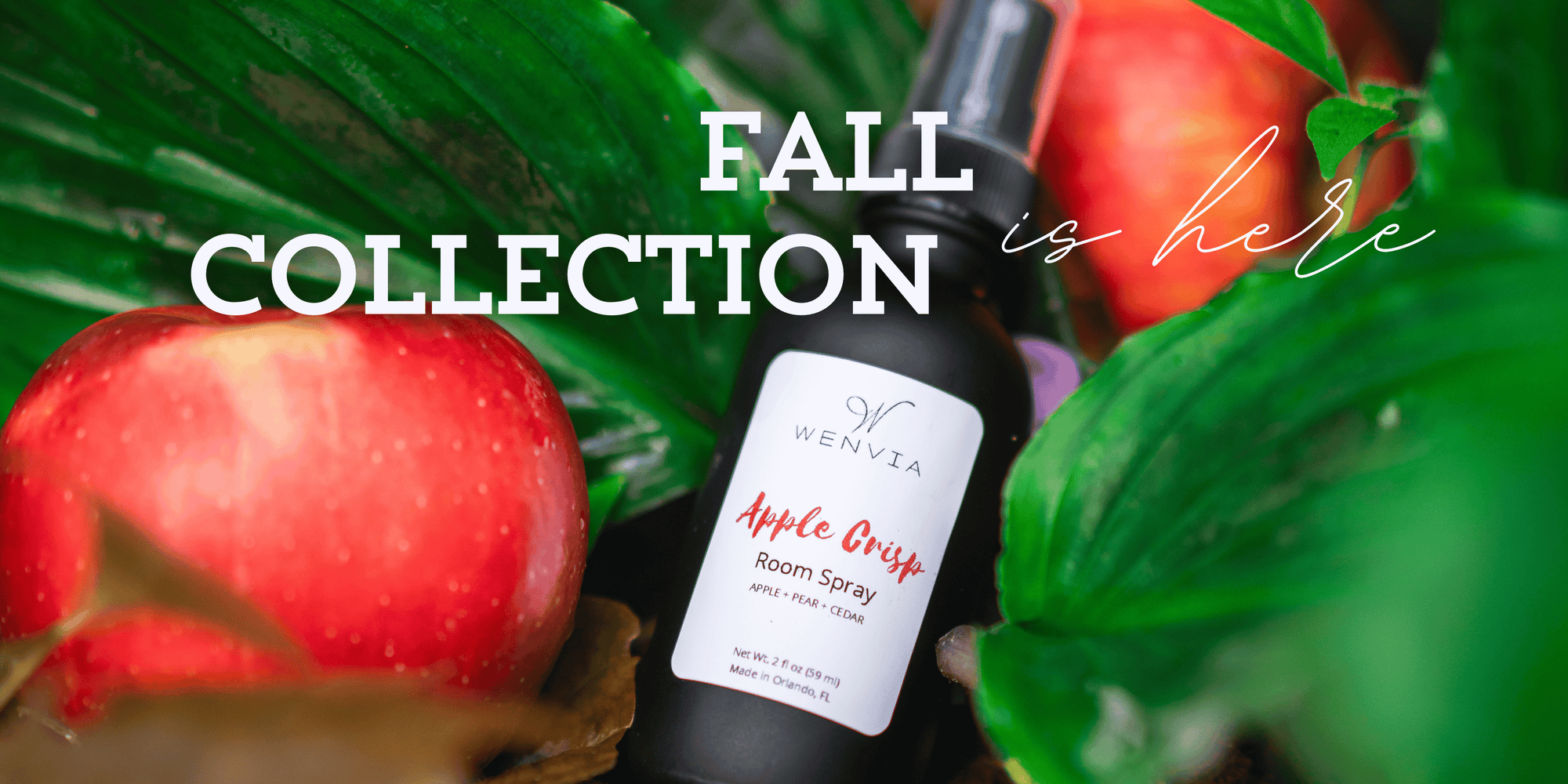 Fall Collection