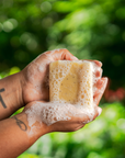 Lemon Poppy (Exfoliating) Soap Bar
