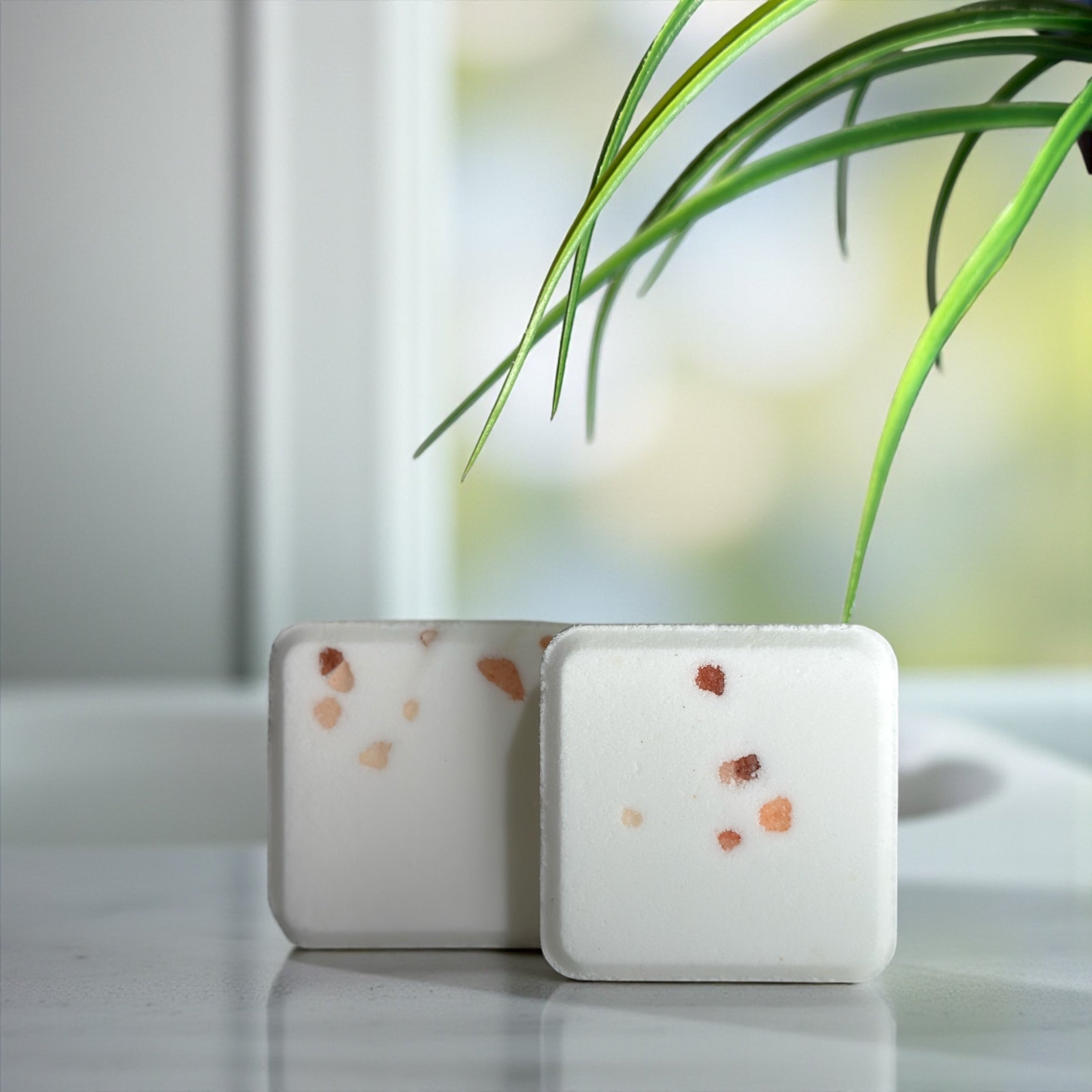 Two square shower steamers with decorative elements on a reflective surface with a blurred plant in the background.