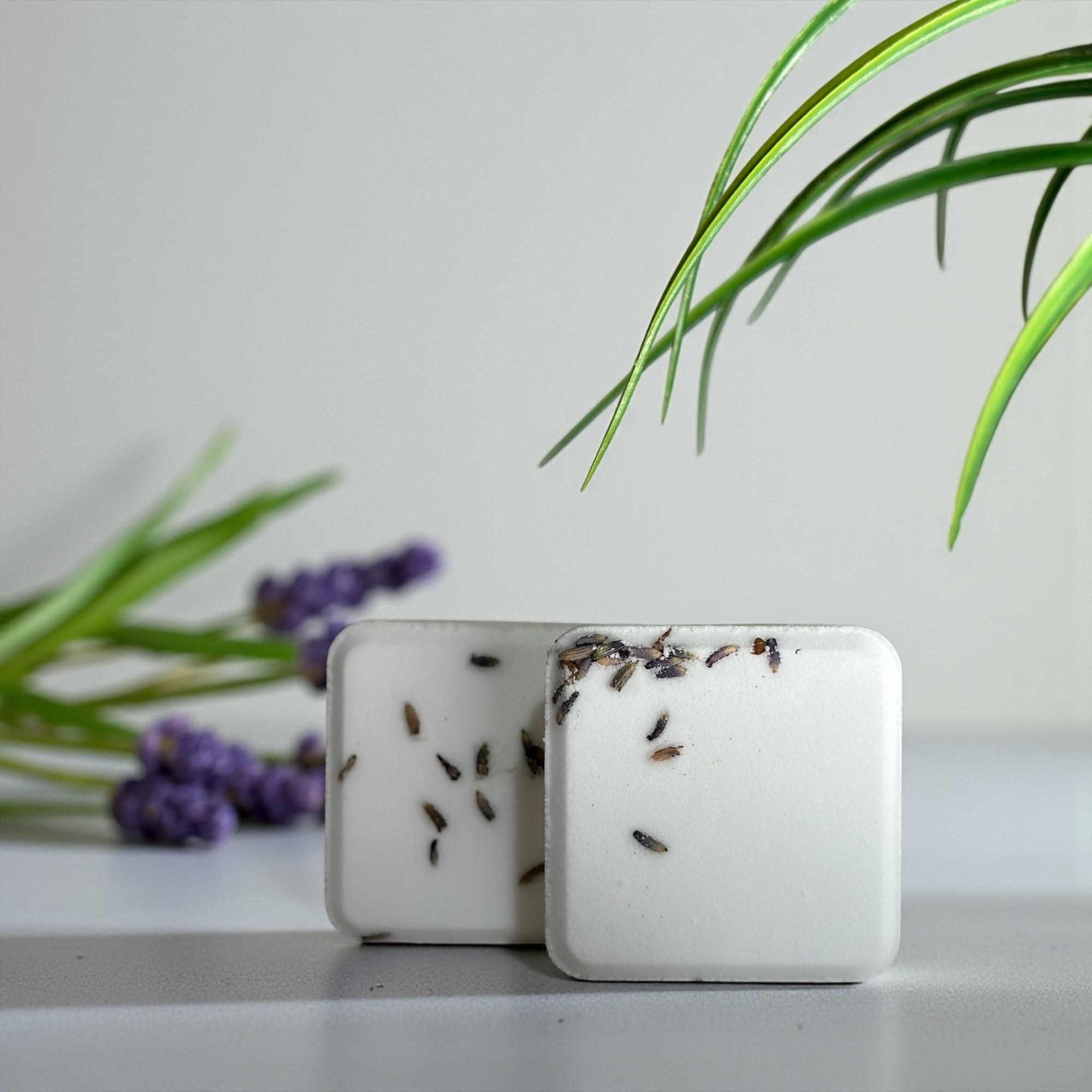lavender plant for shower Tranquil (Lavender) Shower Steamer