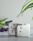 Two white shower steamers with lavender buds on a white surface with green plants in the background.